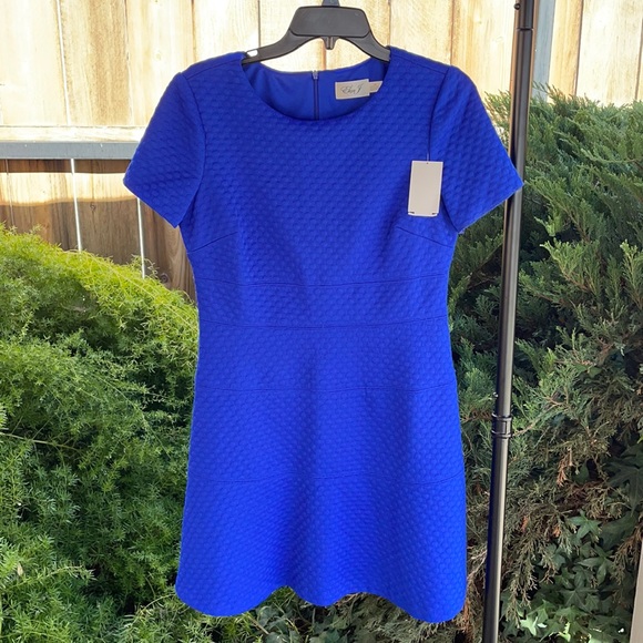 Eliza J Electric Blue Mini dress